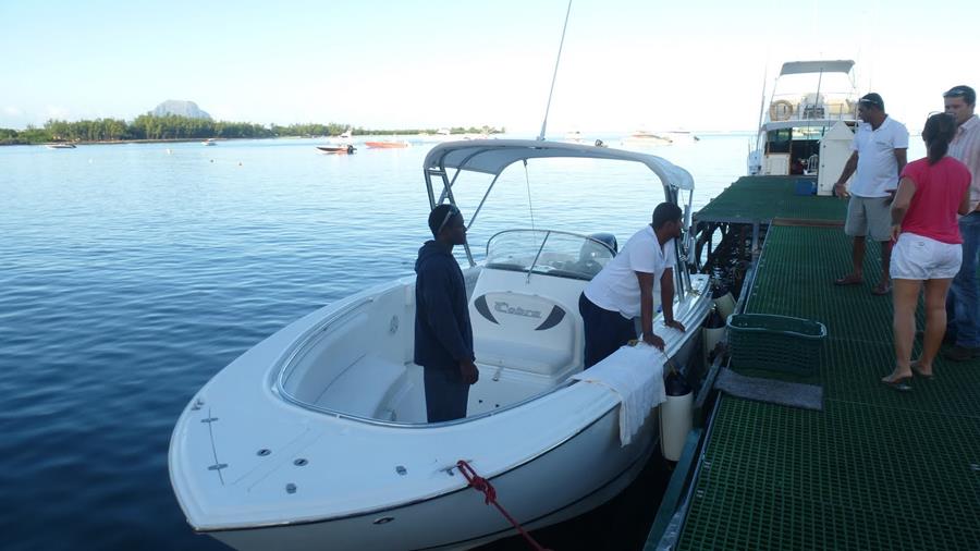 Activités-dauphins02