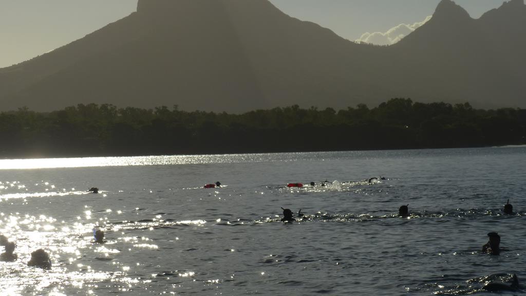 Activités-dauphins04