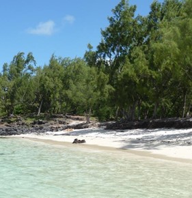 private boat trip mauritius P1060610.jpg