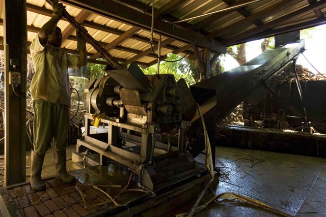 Activités-route-du-the01