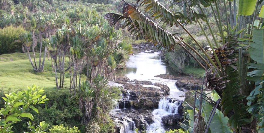 L’île Maurice parmi les  dix meilleures « destinations éthiques » du monde
