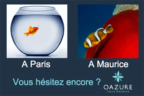 Actualités Oazure