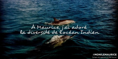 #monilemaurice
