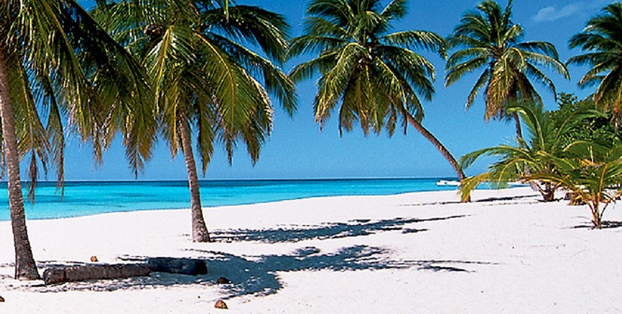 L’île Maurice séduit les touristes anglais et allemands.