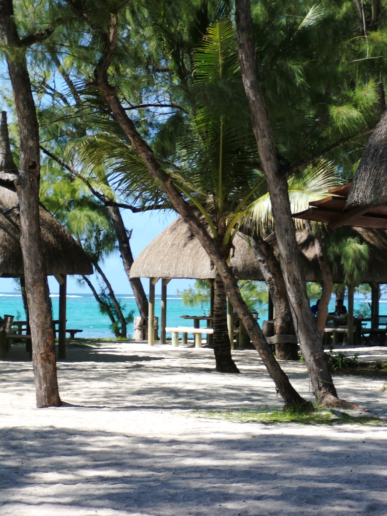 Speedboat day trip to Ile aux Flamand and Ilot Mangénie