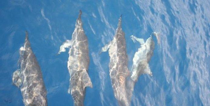 Day outing on the Sea Lounge at Black River