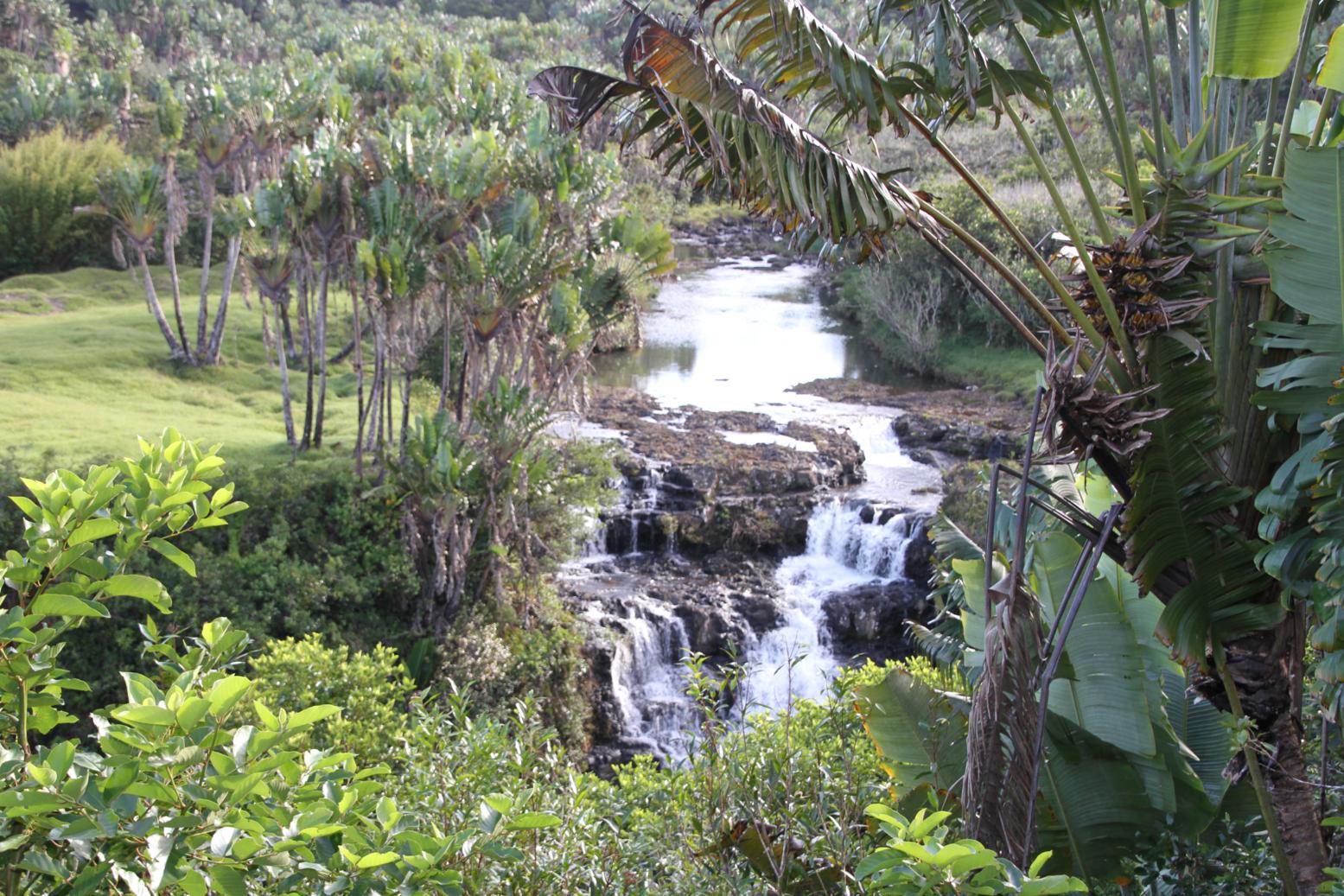 Mauritius among the top ten "ethical destinations " in the world.