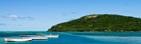 Ile aux Aigrettes (Egret Island)