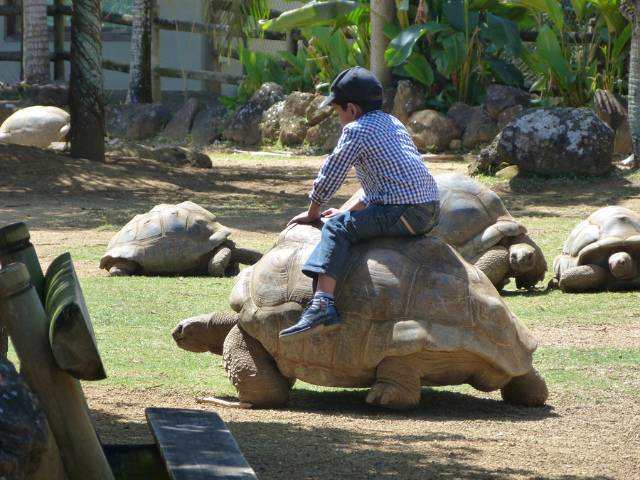 Visit Vanille Nature Reserve