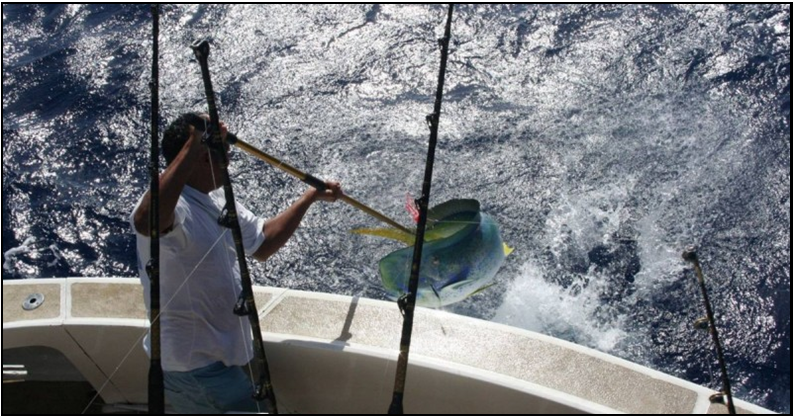 Peche au gros 2.png (1)