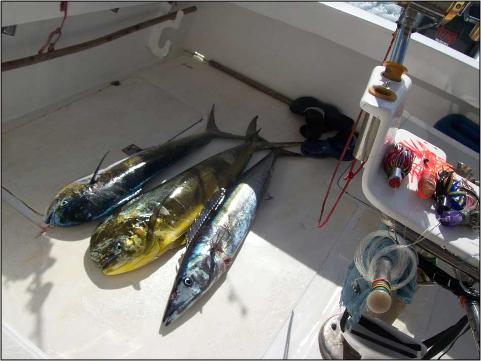 Activités-Big mama 02