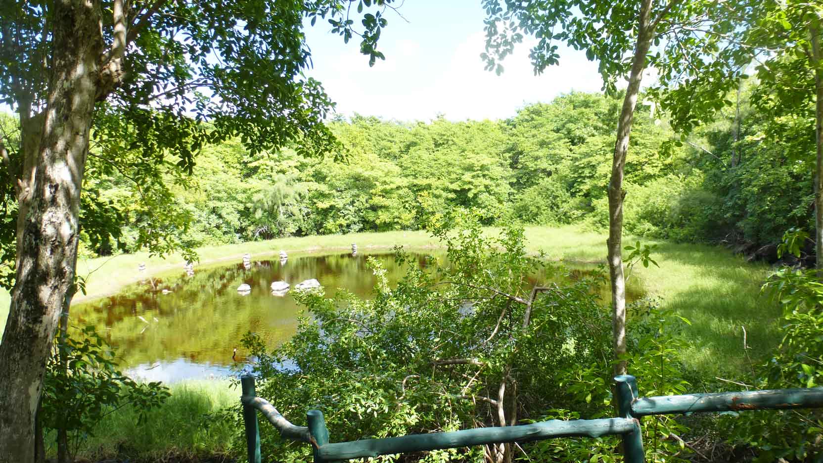 vacances-kingseggae-ile-maurice03