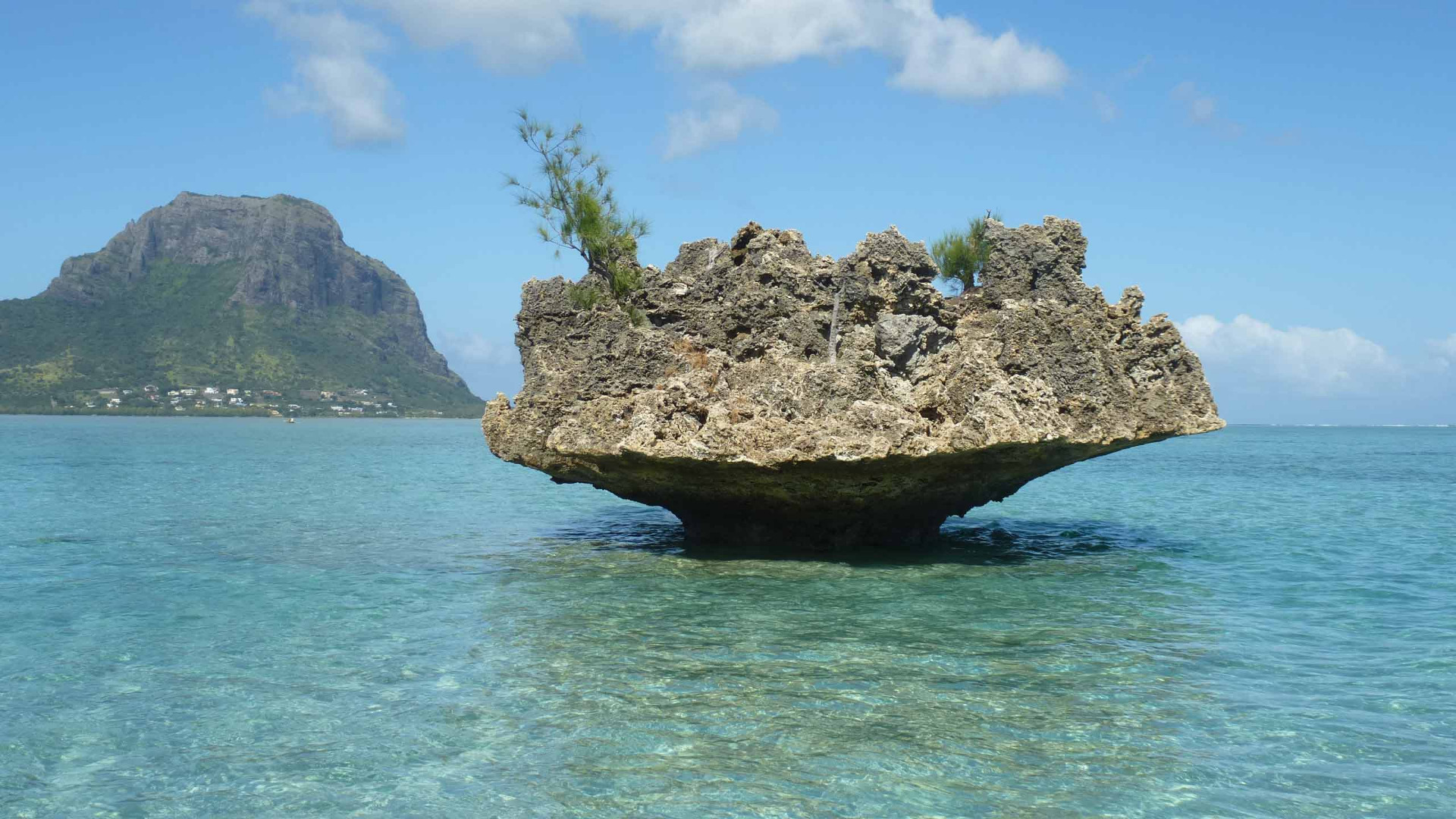 vacances-coteouest-ile-maurice005