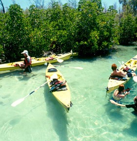vacances-Kayak-ilemaurice01
