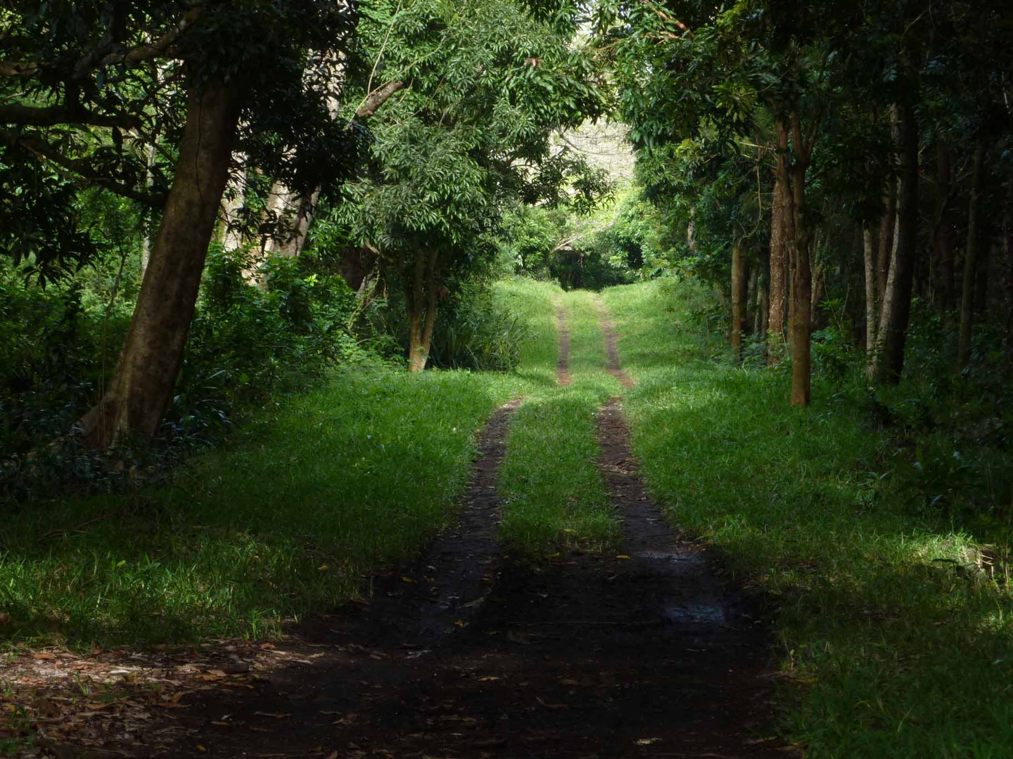 vacances-vtt-ilemaurice02