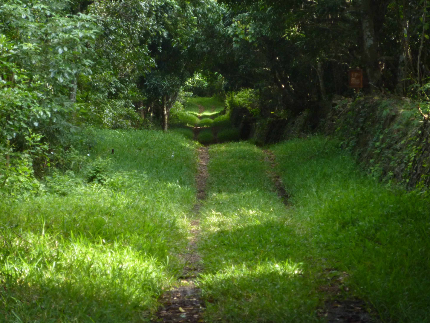 vacances-vtt-ilemaurice01