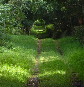 vacances-vtt-ilemaurice01