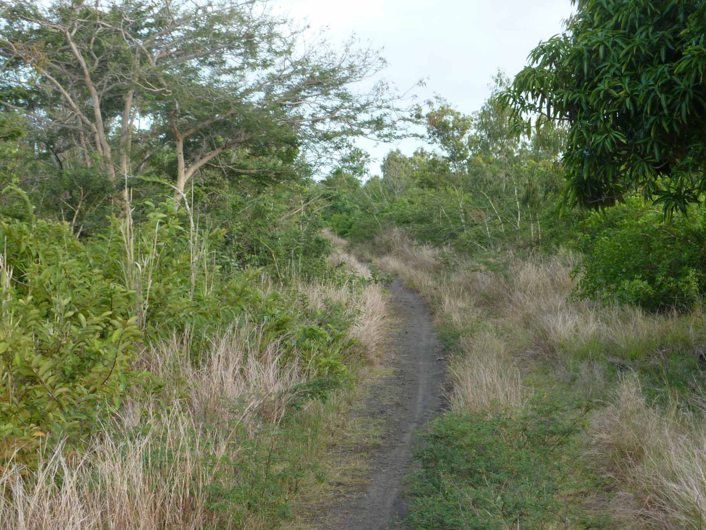vacances-vtt-ilemaurice03