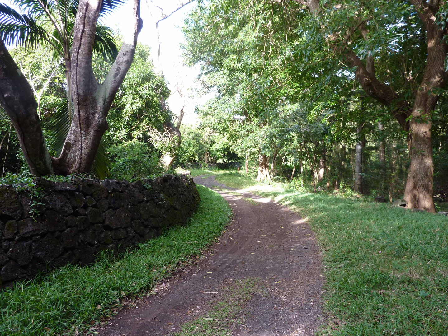vacances-vtt-ilemaurice04