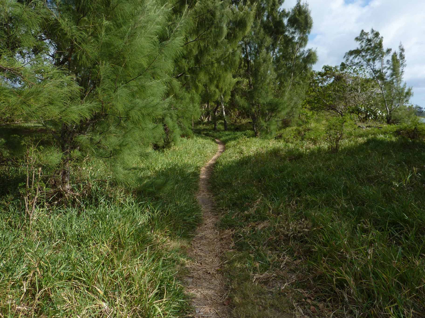 vacances-vtt-ilemaurice05