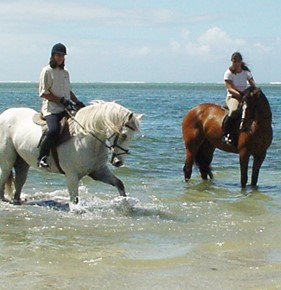 cheval.jpg