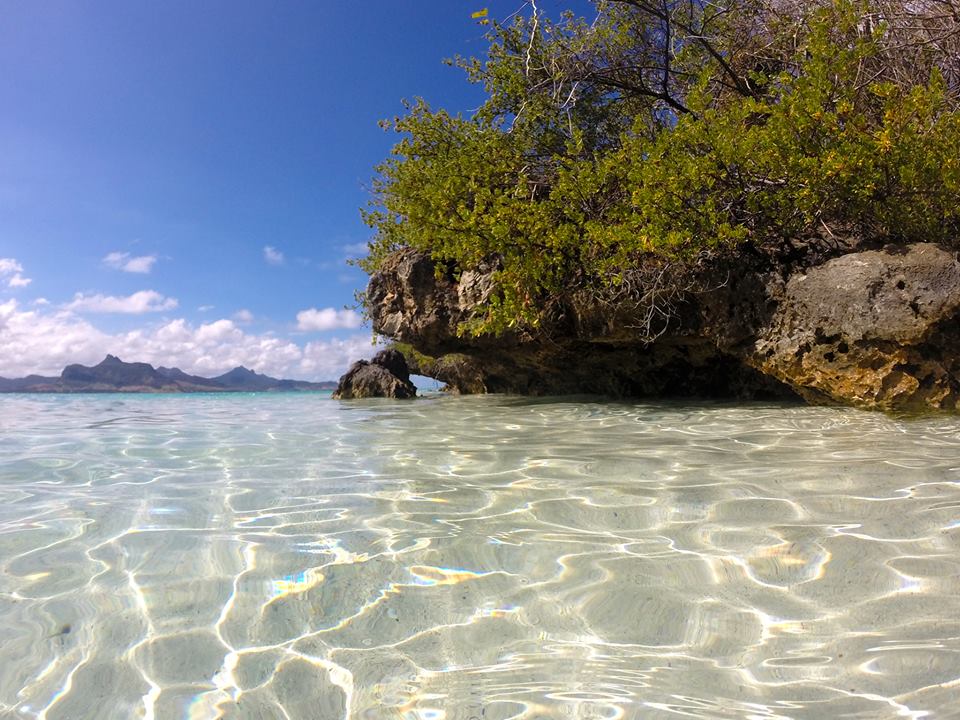 vacances-pigeonsdesmarees-ilemaurice02