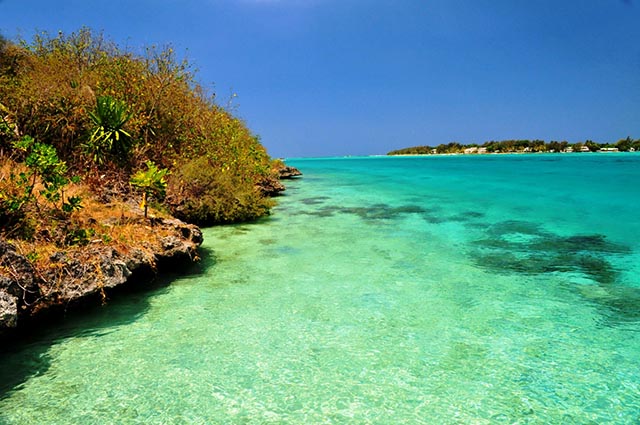 vacances-pigeonsdesmares-ilemaurice08 (1)