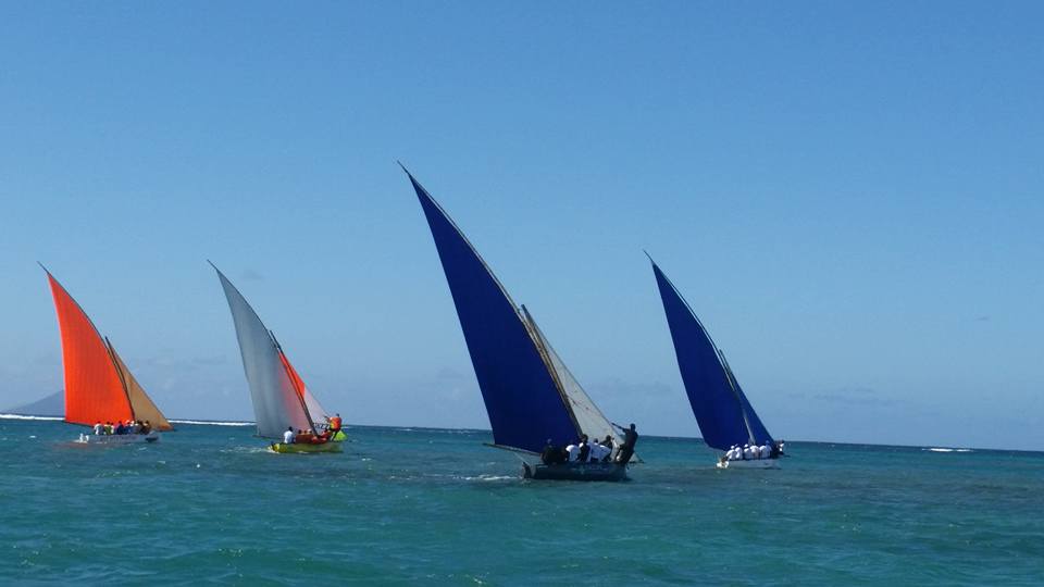 13925419_834865626615346_6190494702135004976_n.jpg (1)