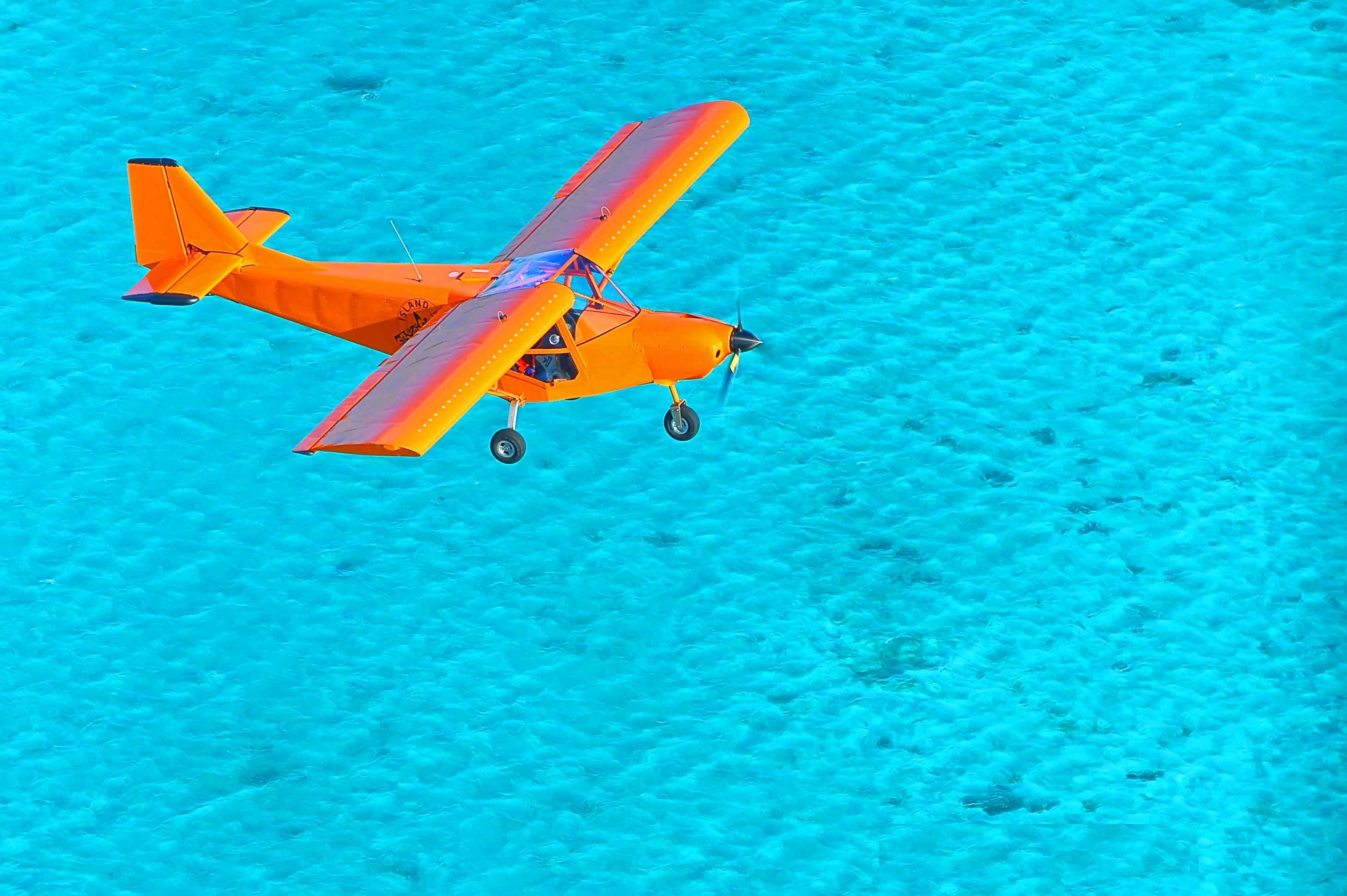 Island Wings picture.jpg