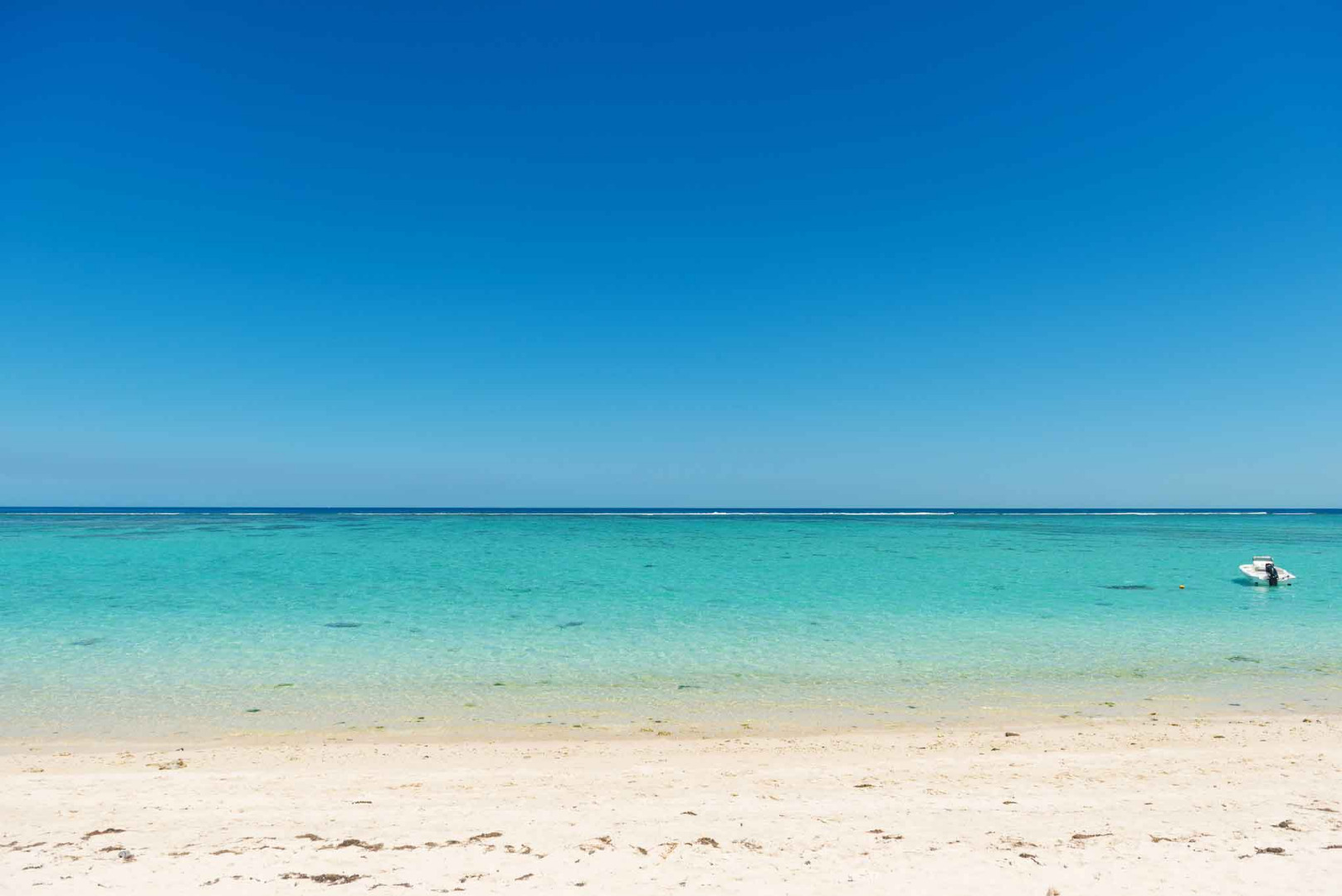 Appartement Cap Ouest