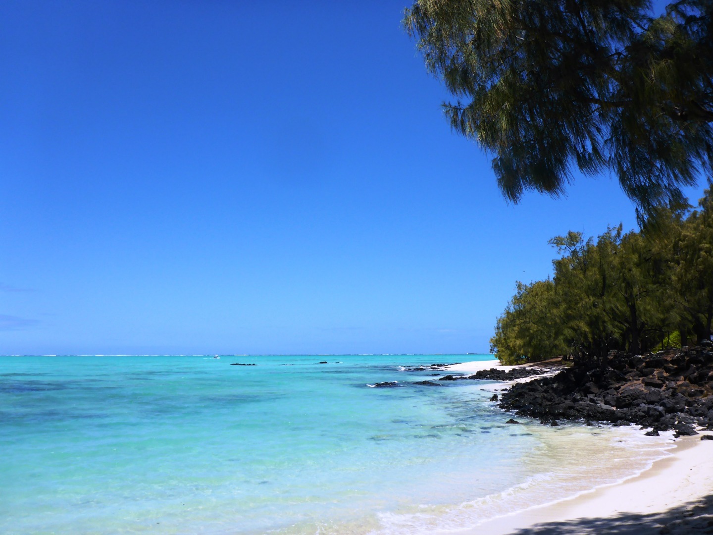 Ile aux cerfs 3-min.jpg