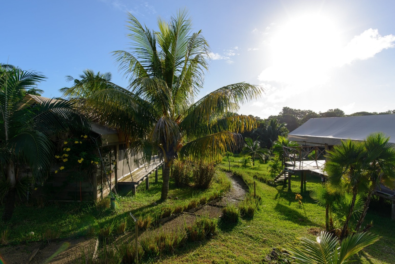 Morning light-min.jpg