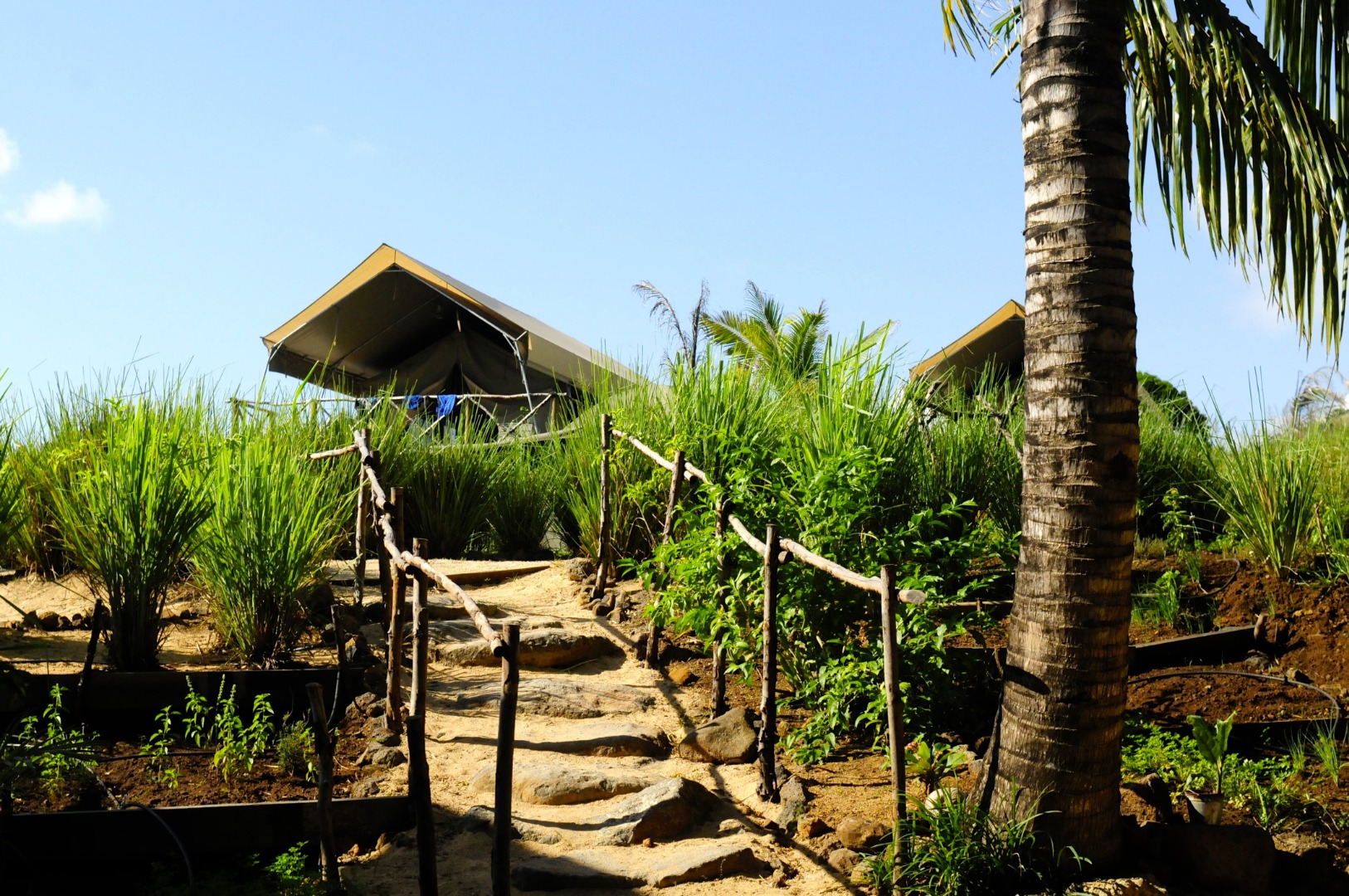 Pathway to tent-min.JPG