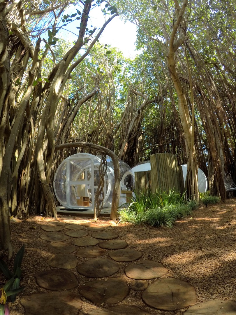 Banyan 4 Entree avec rondins-min.JPG