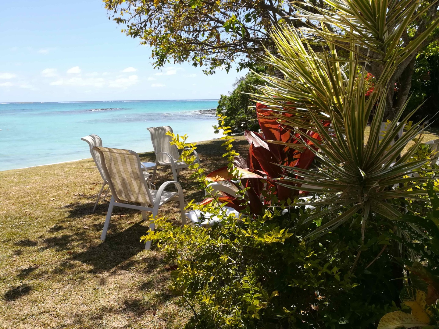 Villa Porcelaine 2019