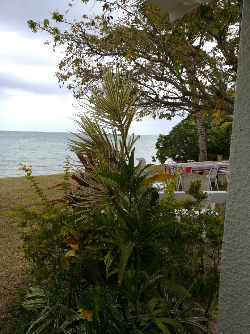 Villa Porcelaine 2019