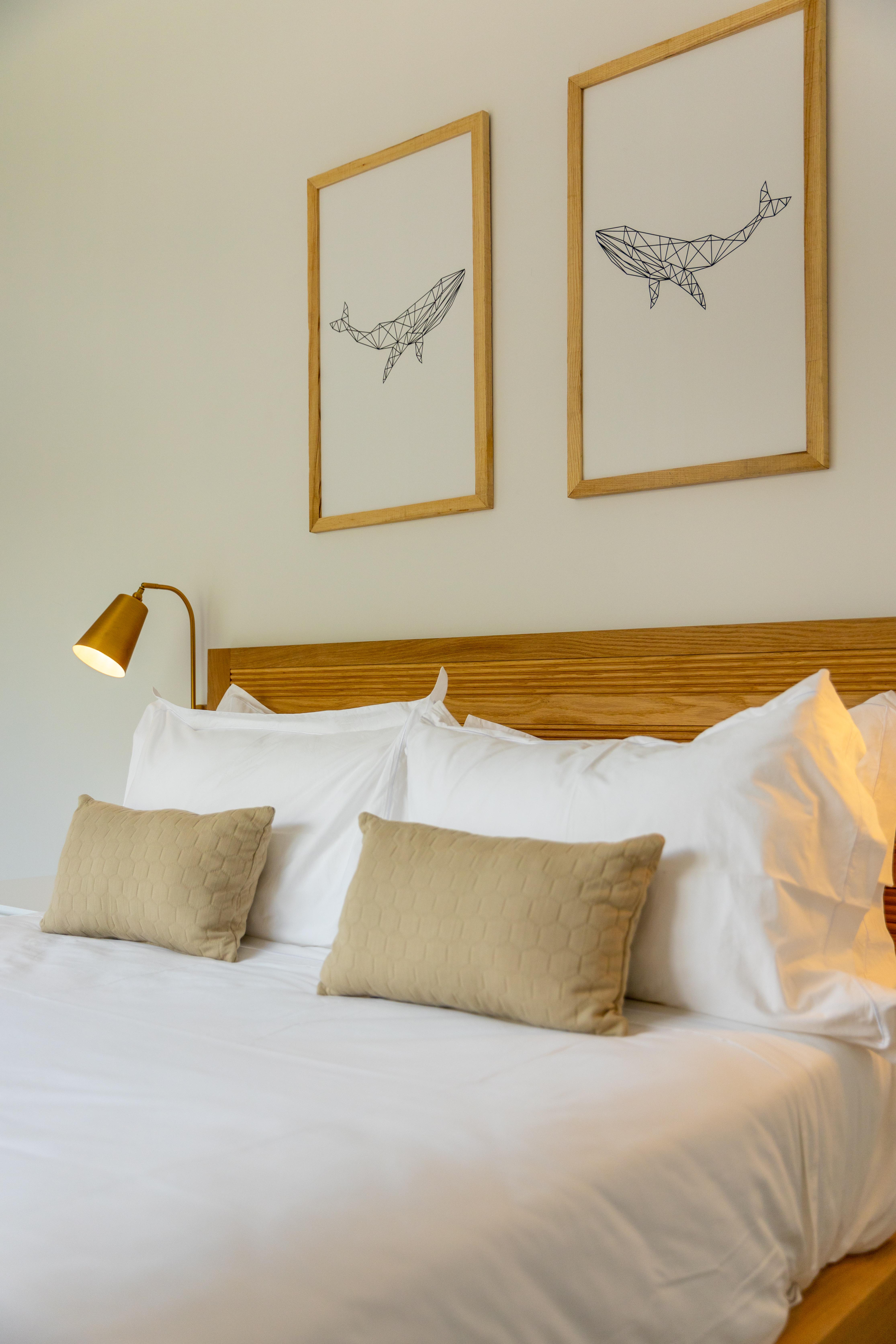 Manta Cove Penthouse