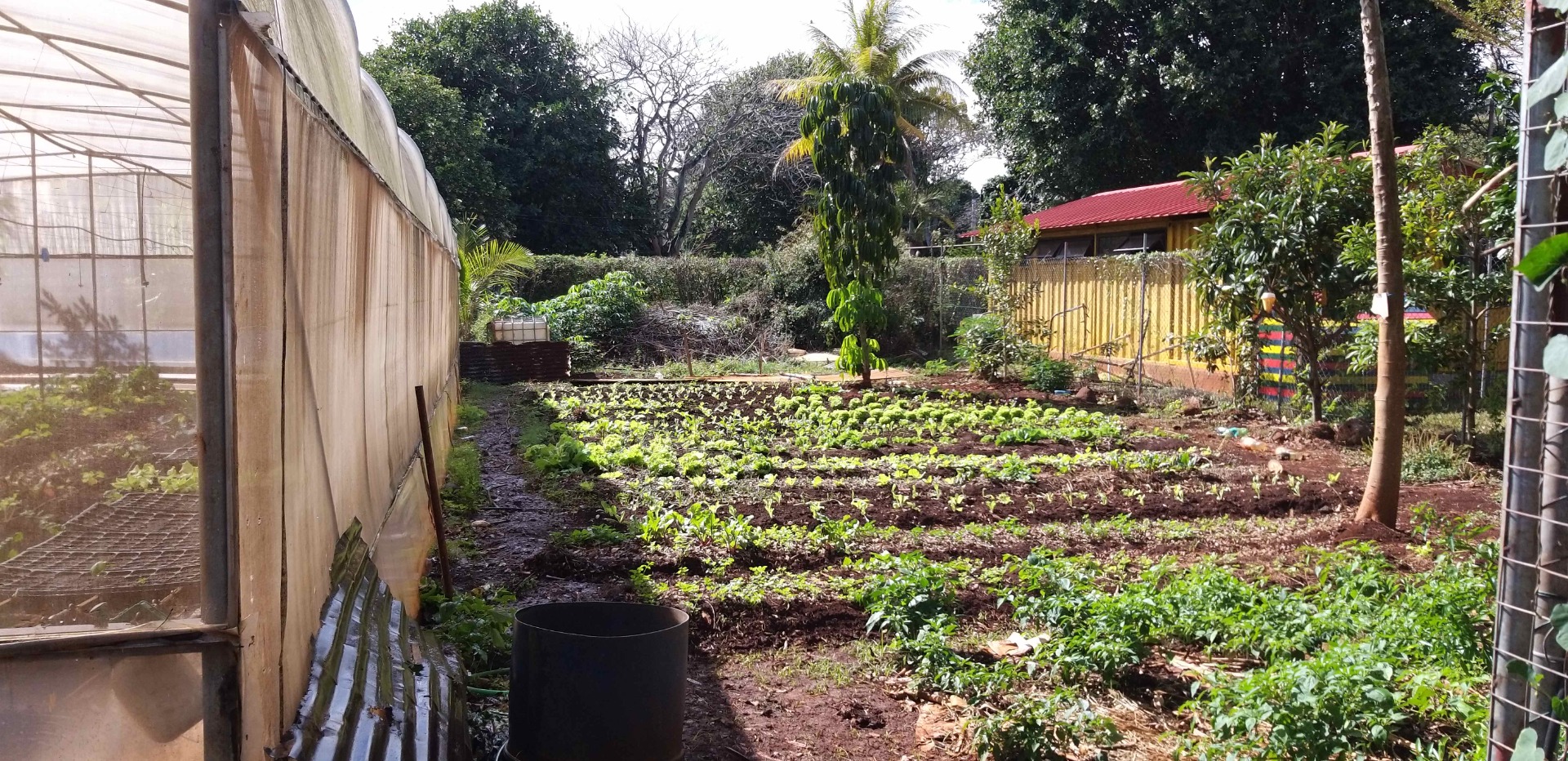 20200911_093902 (1).jpg