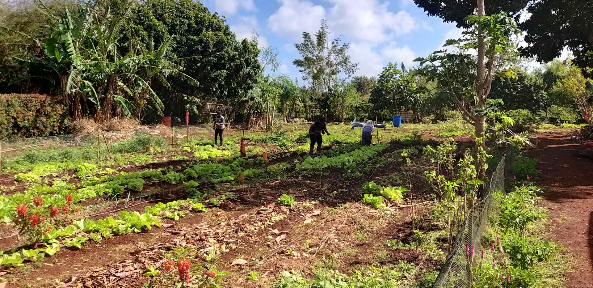 20200911_093856 (1).jpg