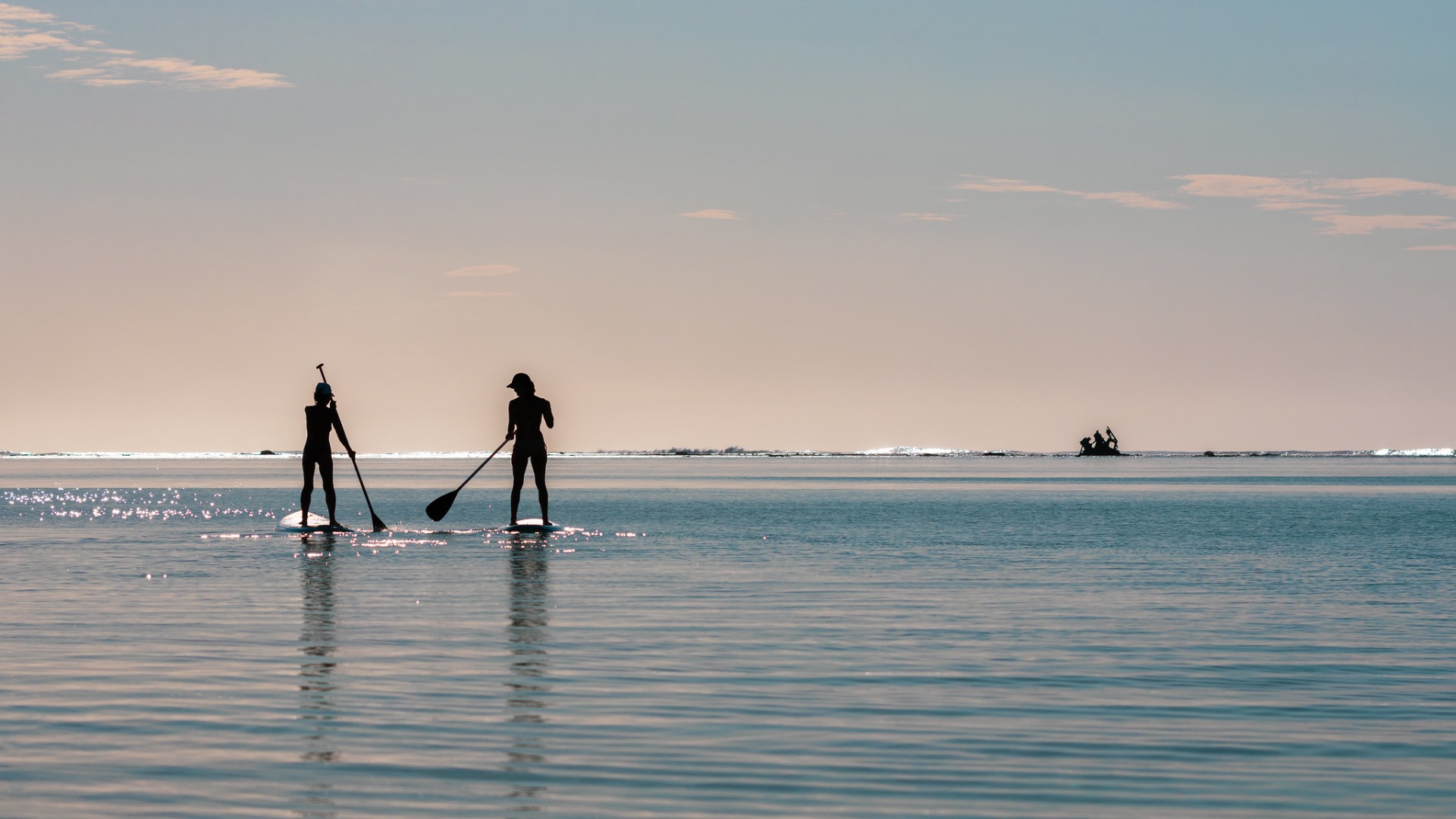 Appartements Blue Nest