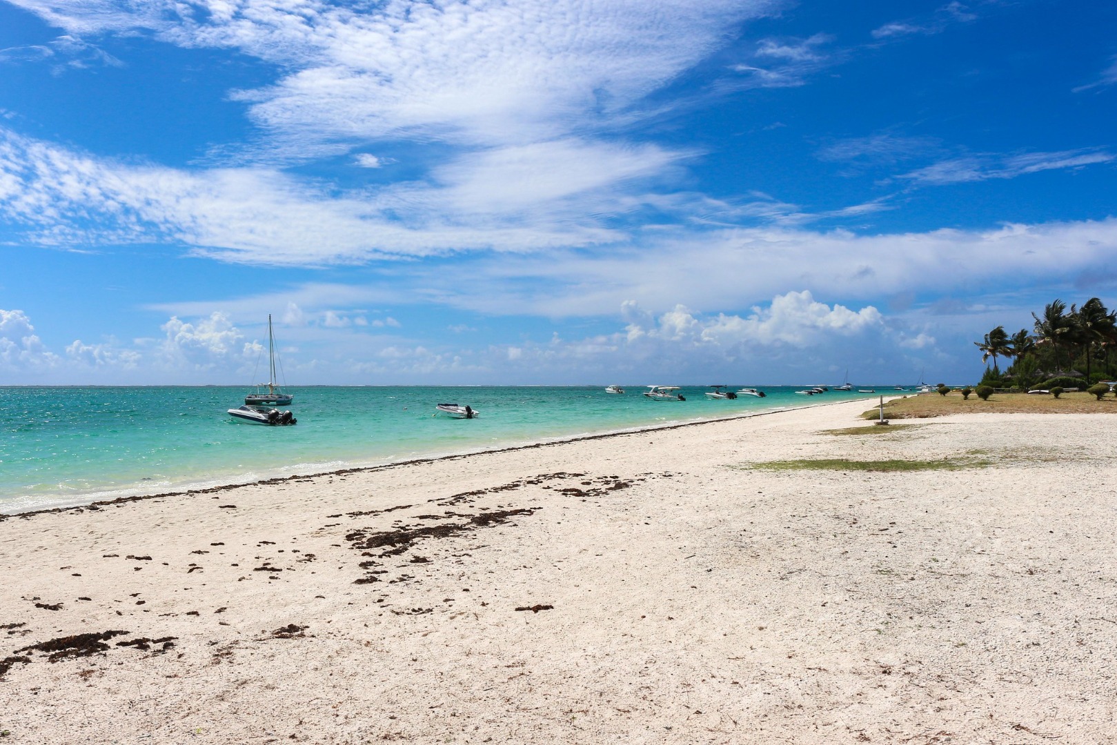 Appartements Blue Nest