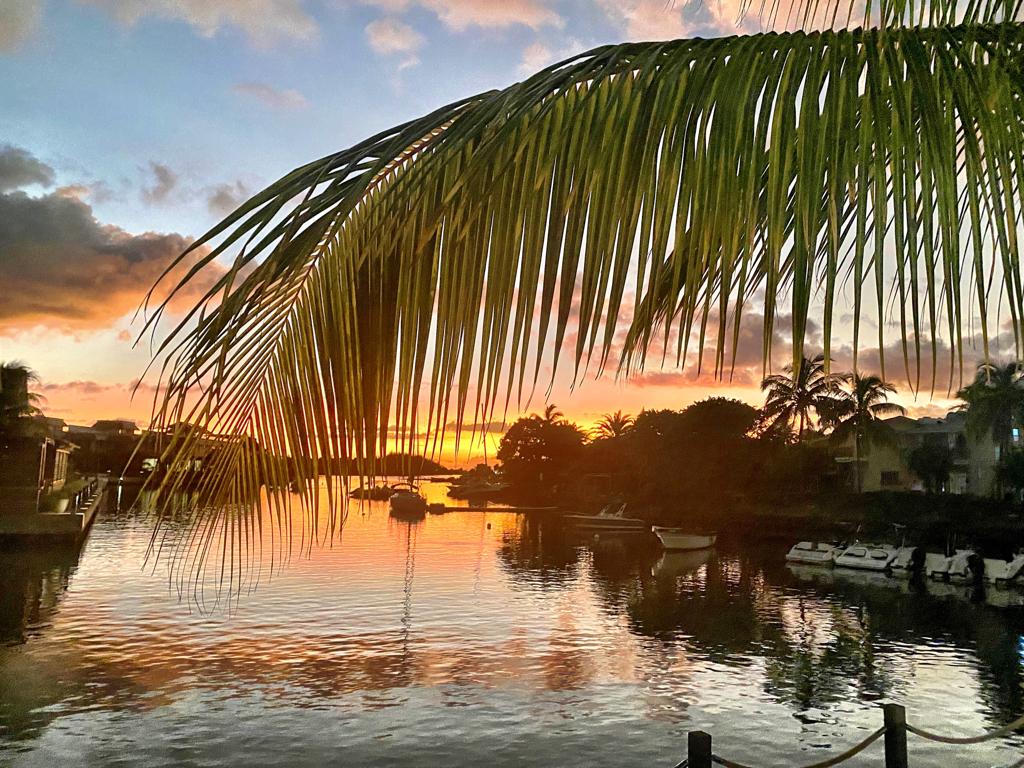 PHOTO-2022-03-06-11-40-05 (1).jpg