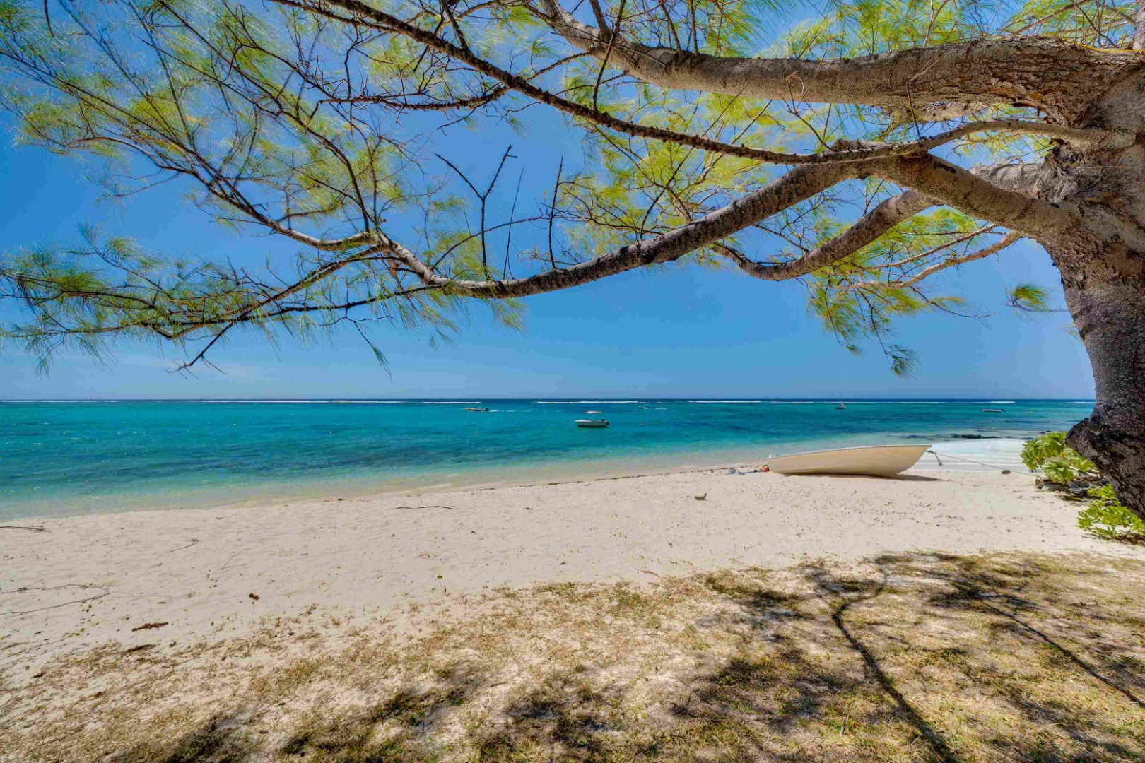 Villa Veloutier Blanc 2022