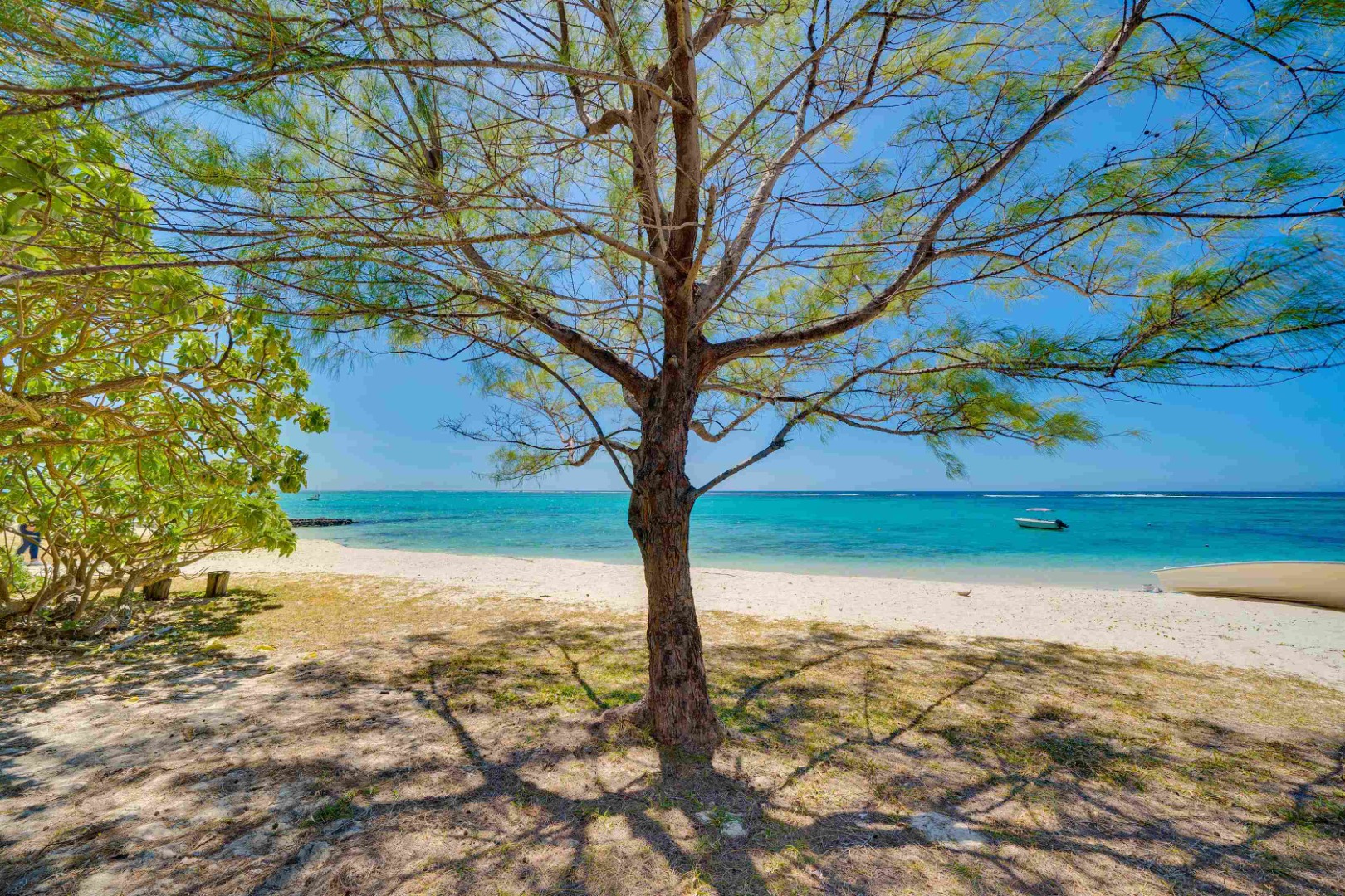 Villa Veloutier Blanc 2022