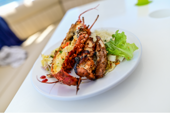 Croisieres Australes 3.png