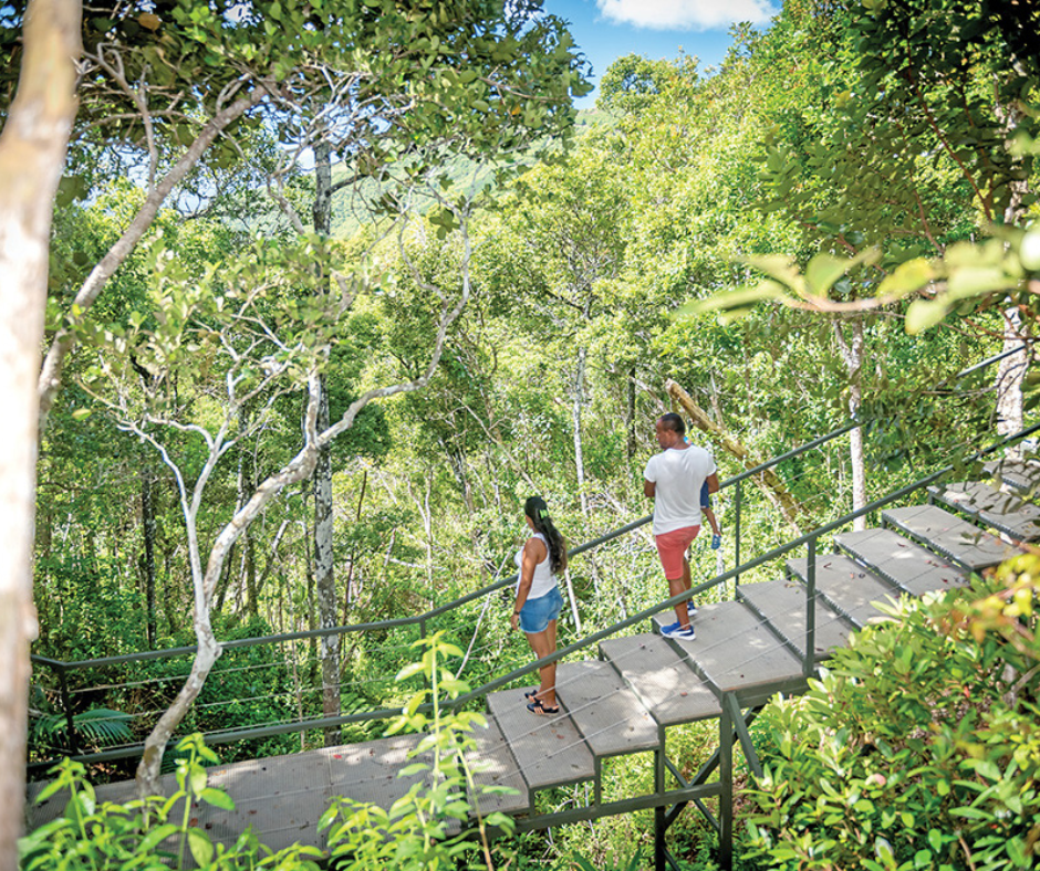 Voyage éco-responsable