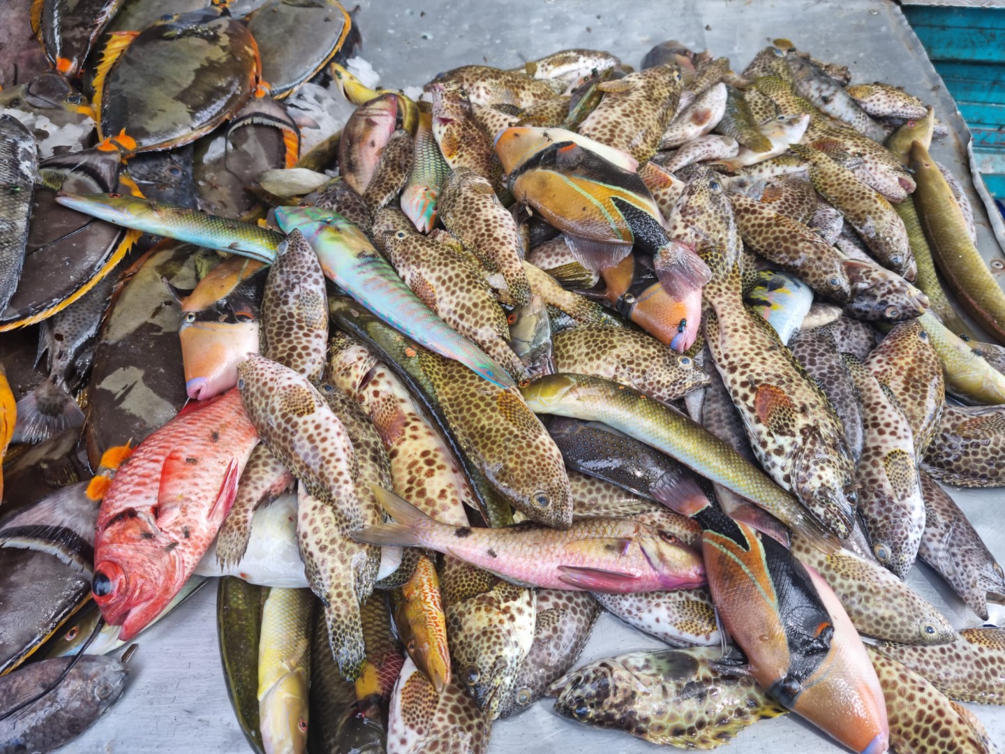 WhatsApp Image 2023-11-29 at 12.02.14 (1).jpeg