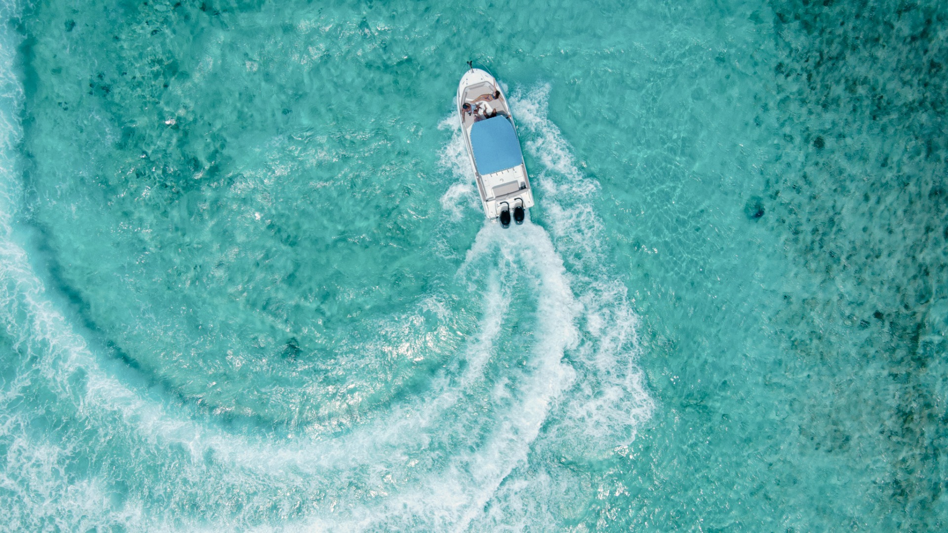 CAL-SILVER DART12.jpg